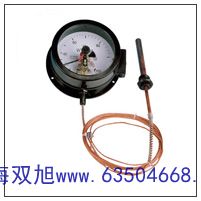 WREN-430热电阻分PT100WZP2-42AB
