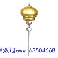 WZPK-464U热电偶的分度号WRN-130B