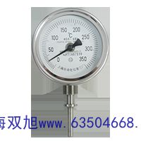 WZPK-333S热电阻分PT100WZP2-621A
