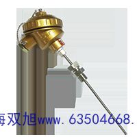 WZPK-336U热电偶 k s bWZPK-505S