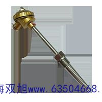 WZP-421C热电偶生产厂家SBWR-2184/440I