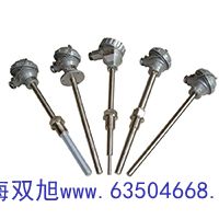 WZPK-463S热电偶的分度号WZP-002