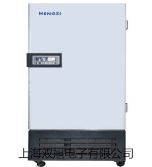 DT-8891D系列 二合一专业热电偶测温仪【双旭牌】使用说明书