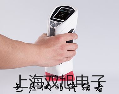 2433钳形表【双旭牌】电子文档
