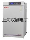 WRNT31轴承热电偶,WRNT-31,【双旭牌】对照