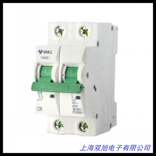 DZ47LE-2P/63A 空气开关带漏电A级 漏电保护器 断路器