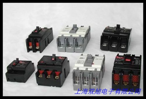CHNT/正泰 NXBLE-125 漏电保护器2P 大功率空气开关 断路器 100A