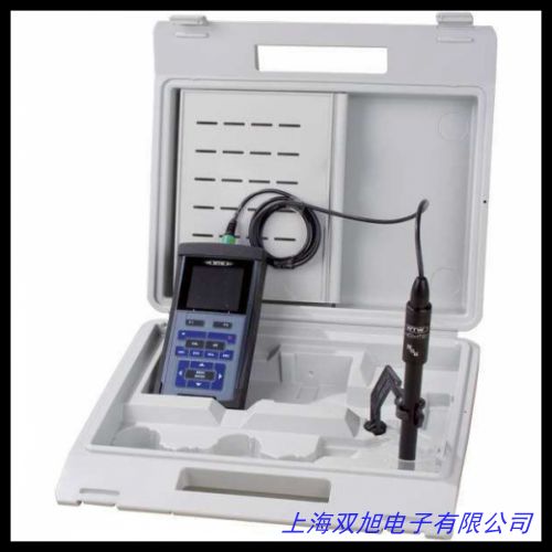 上海 DWS-51型钠离子浓度计/数显钠离子计 水质检测仪