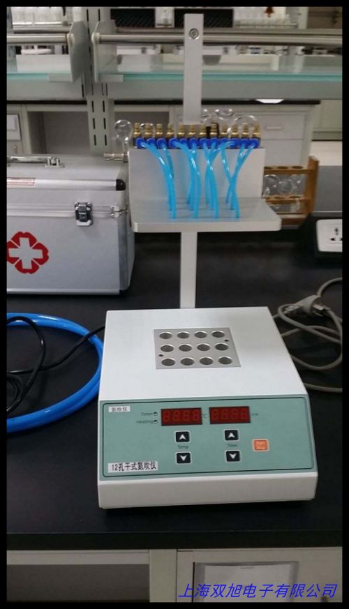 高纯氮吹仪氮气发生器DFCZW-20L型